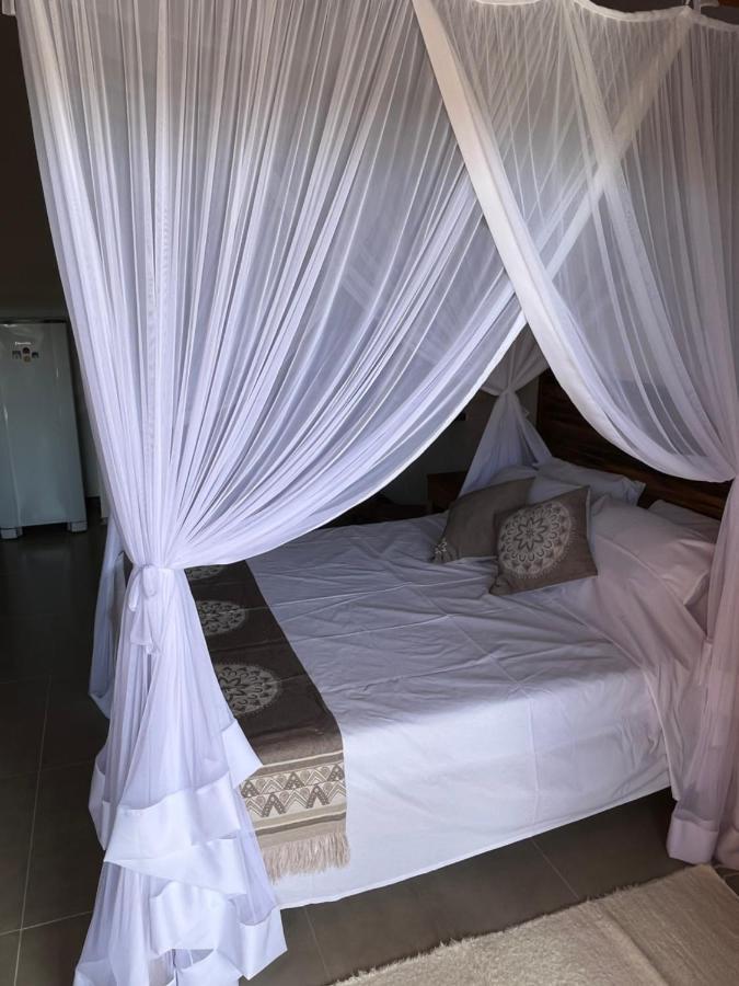 Estudio Com Piscina * Trancoso